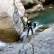 Canyoning - Canyon of Gours du Ray - 18